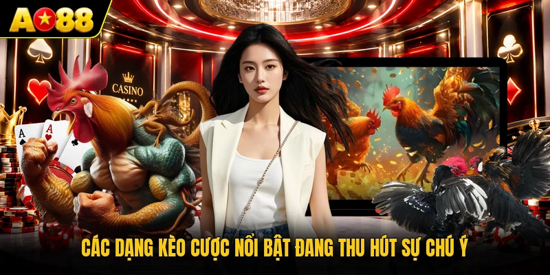 Các dạng kèo cược nổi bật đang thu hút sự chú ý