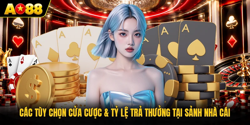 Các tùy chọn cửa cược & tỷ lệ trả thưởng tại sảnh nhà cái