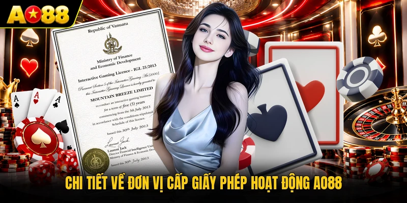 Chi tiết về đơn vị cấp giấy phép hoạt động AO88