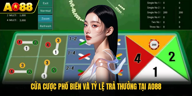 Cửa cược phổ biến và tỷ lệ trả thưởng tại AO88